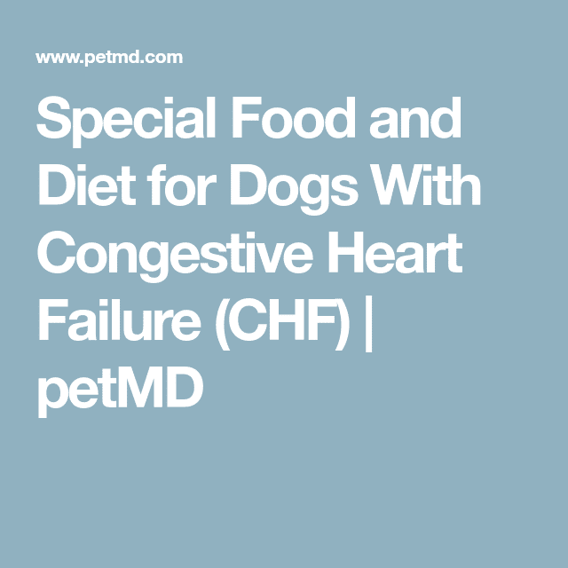 homemade-dog-food-for-congestive-heart-failure-a-guide-to-preparation